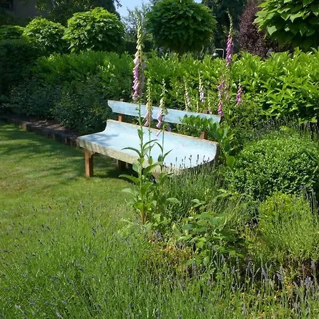 Spacious In District. דירה